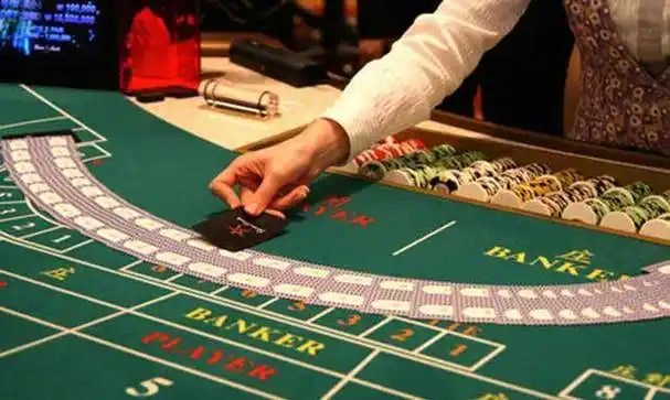 w888casino bingo